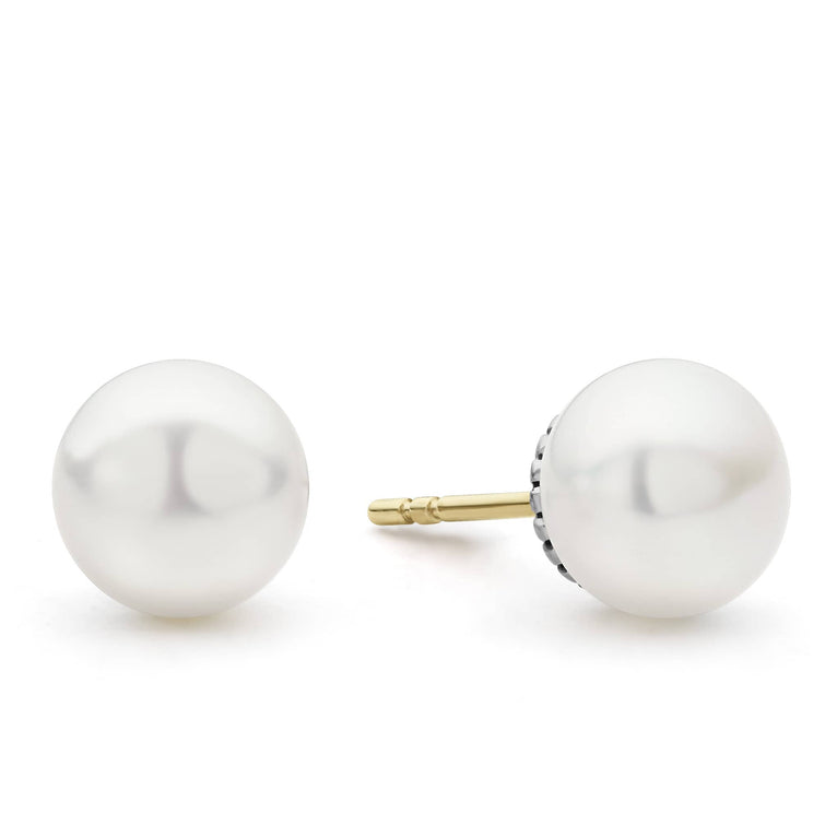 White pearl stud earrings with gold posts.