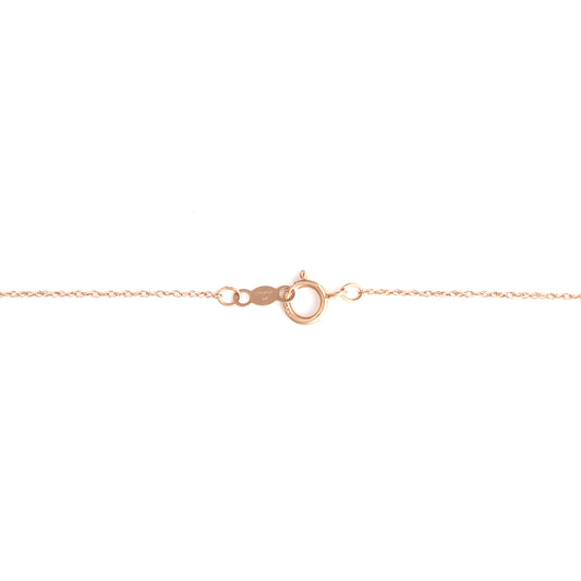 Rose gold chain with spring ring clasp.