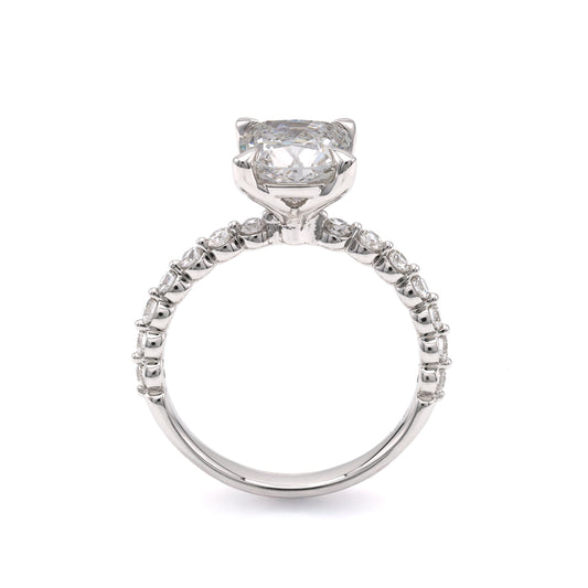 ReMARKable Designs Lab-Grown Diamond Complete Engagement Ring in 14 Karat White Gold, Size 7