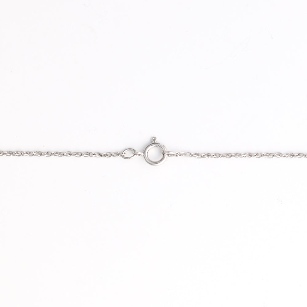 Sterling silver chain with spring ring clasp.