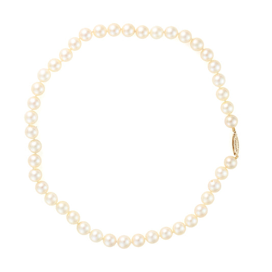 Cream pearl strand necklace with gold clasp.