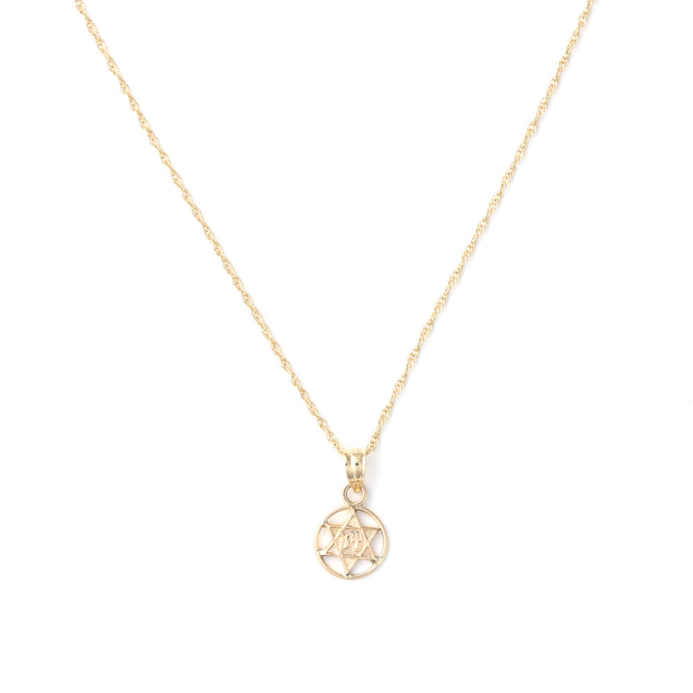 14K yellow gold Star of David necklace.