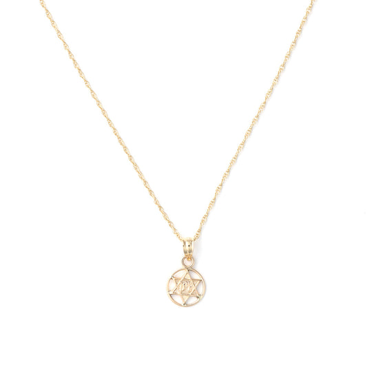 14K yellow gold Star of David necklace.