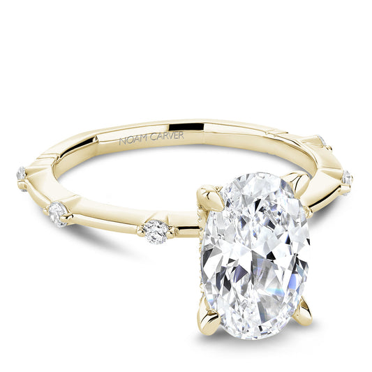 Noam Carver Hidden Accent Solitaire Natural Diamon