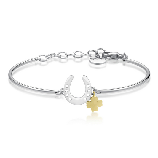 Stainless steel bangle with horseshoe, clover charms.