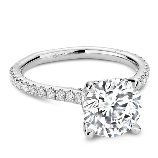 14K white gold diamond ring, hidden accents.