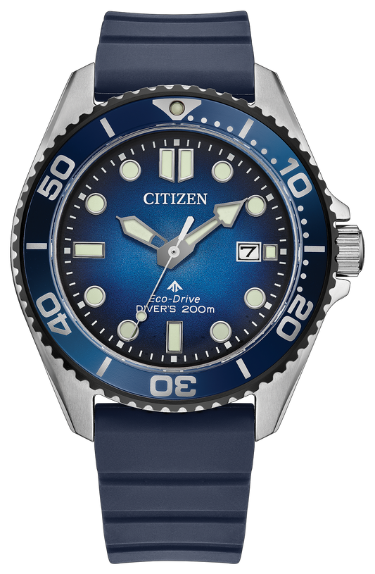 Citizen Watch Men's Promaster Dive Timepiece BN0267-04L
