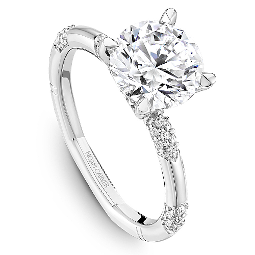 Noam Carver Hidden Accent Solitaire Natural Diamon