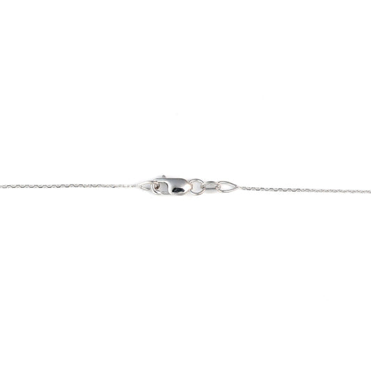 White gold necklace with lobster clasp.