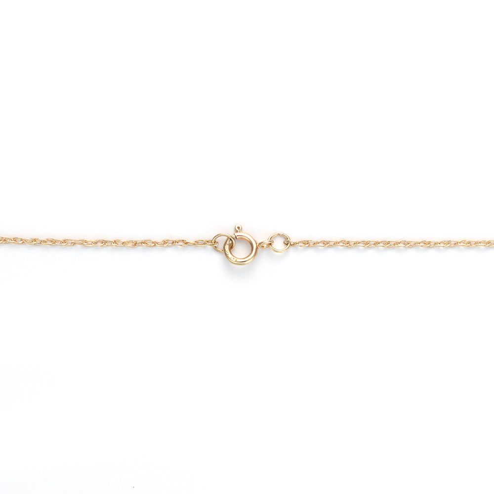 Yellow gold chain with spring ring clasp.
