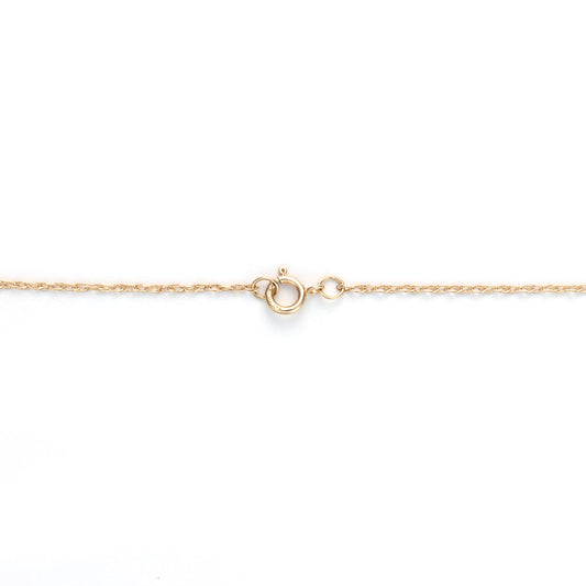 Yellow gold chain with spring ring clasp.