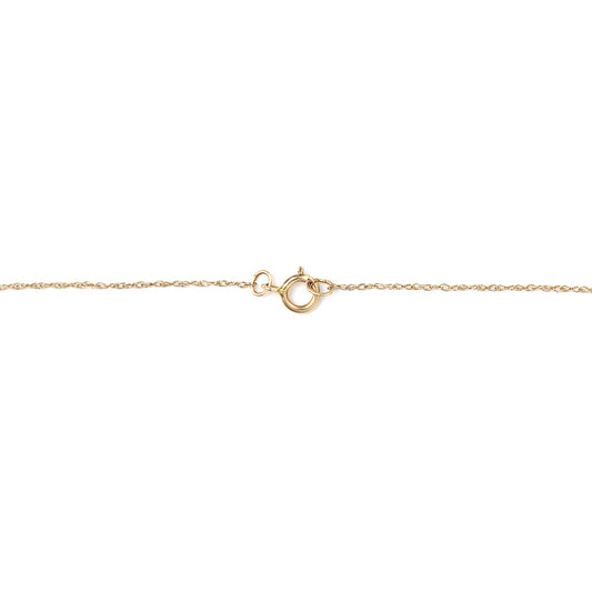 Yellow gold chain with spring ring clasp.
