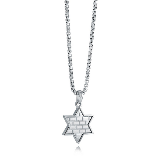 Star of David Necklace (No Stones) in Stainless Steel White