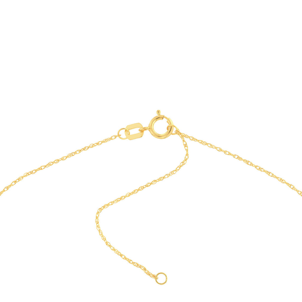 14K yellow gold necklace with spring clasp.