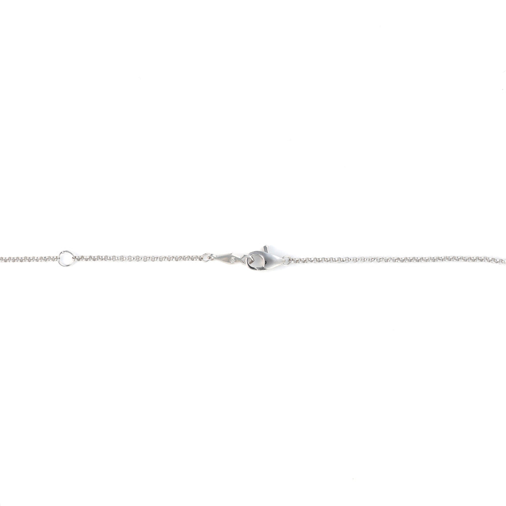 Rolo chain with lobster claw clasp.