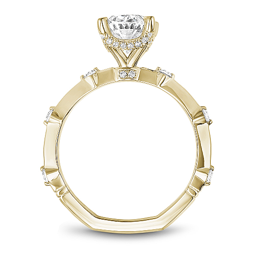 Noam Carver Hidden Accent Solitaire Natural Diamon