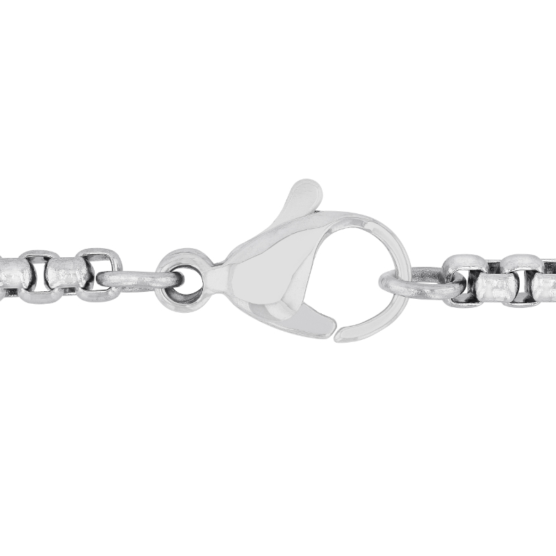 Stainless steel lobster clasp necklace.