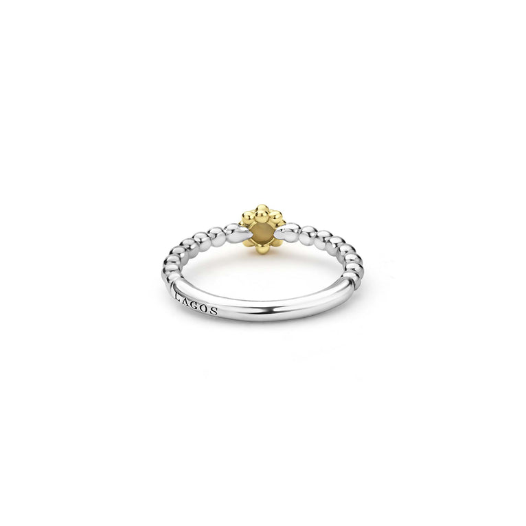 Updated product image (cleaned)