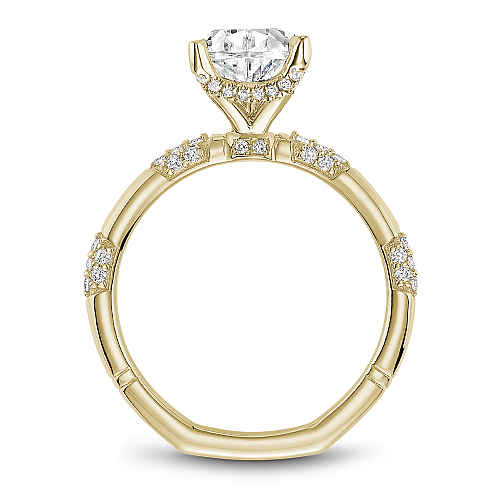 Noam Carver Hidden Accent Side Stone Natural Diamo