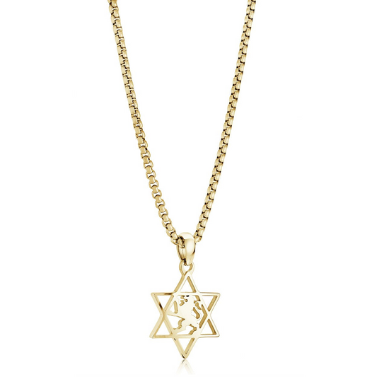 Star of David Necklace (No Stones) in Stainless Steel Yellow