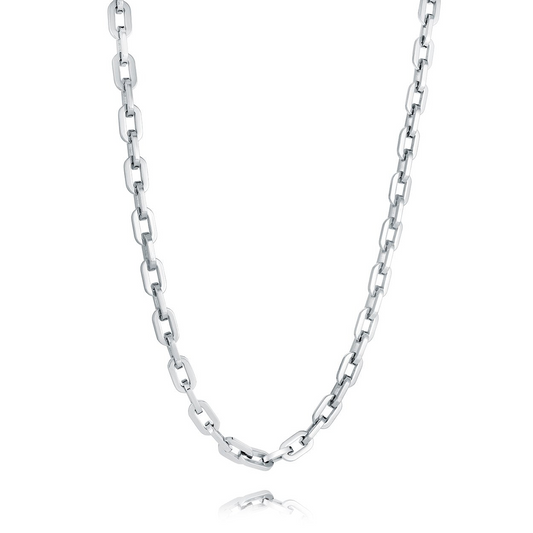 Stainless steel oval link chain necklace.
