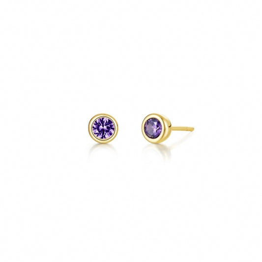 Round amethyst earrings in yellow sterling silver.