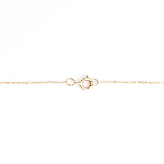 14K yellow gold chain with spring clasp.