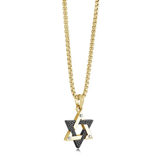 Star of David Simulated Diamond Necklace in Stainless Steel