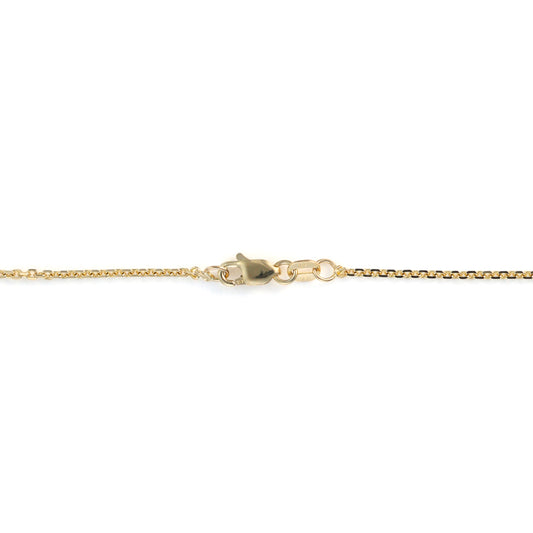 Gold chain with lobster claw clasp.
