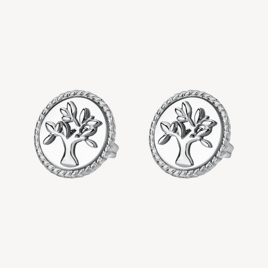 Stud Earrings (No Stones) in Stainless Steel White
