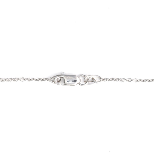 Lobster clasp on white gold chain.