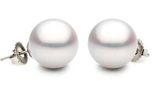 South Sea Pearl stud earrings in white gold.