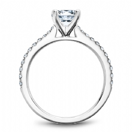 18K white gold ring with side diamonds.