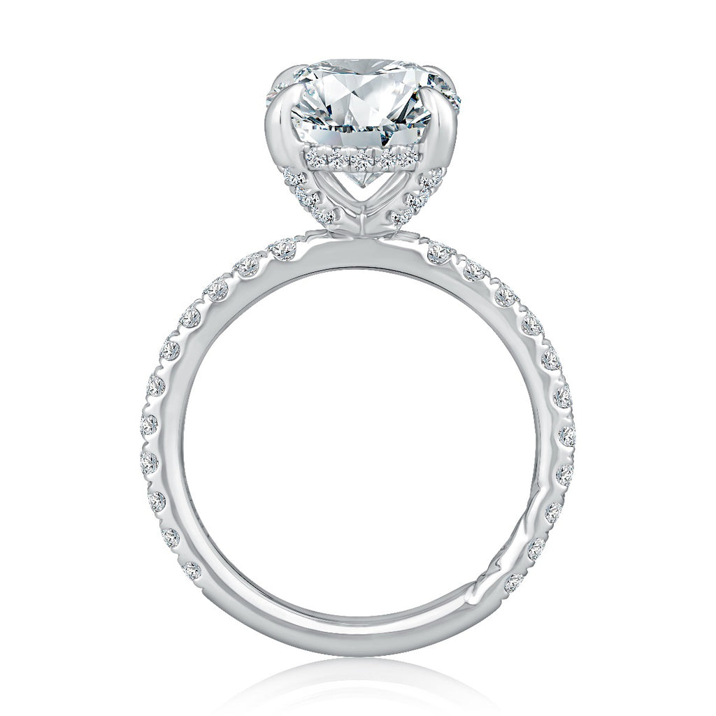 Product Image - AJA-MECOV3026L_270_3