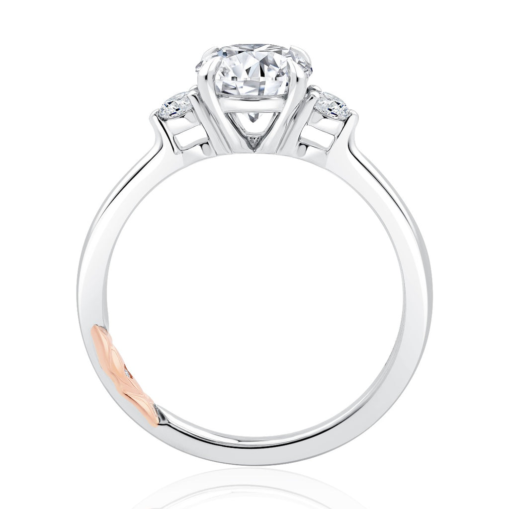 Product Image - AJA-MECRD2542_111 SAMPLE_3