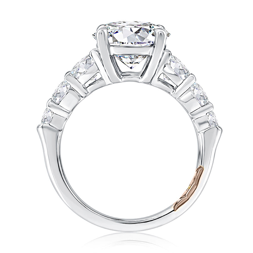Product Image - AJA-MECRD2905L_426 SAMPLE_3