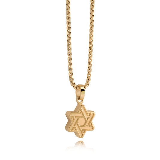 Yellow stainless steel Star of David necklace.