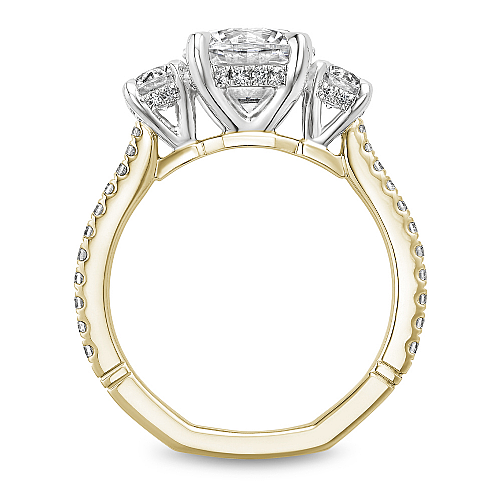 Three-stone diamond ring with hidden accents.