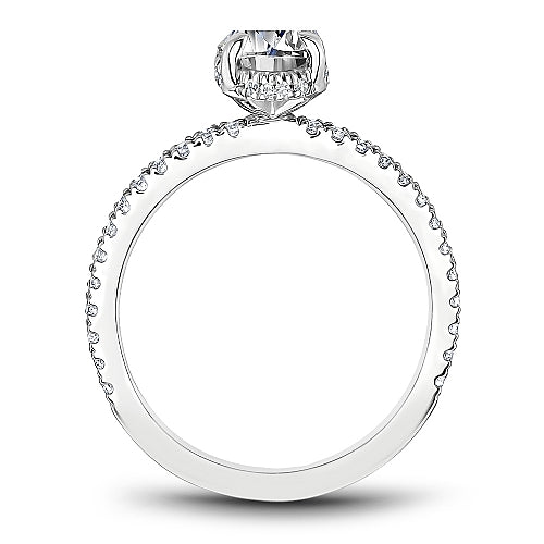 Product Image - NC-B264-01WM-FCYA_2