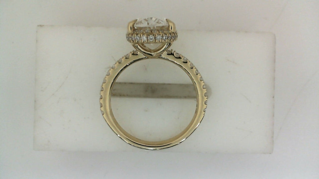 Yellow gold ring with oval diamond halo.