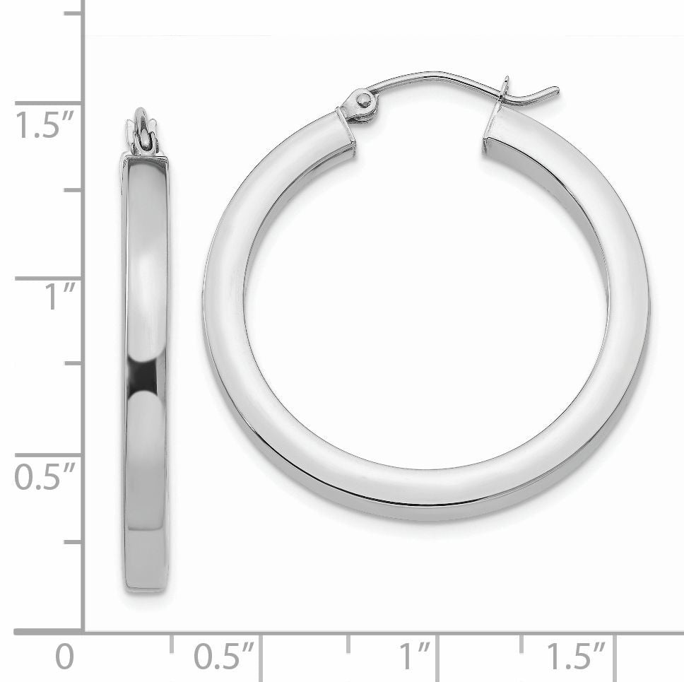 14K white gold medium hoop earrings.