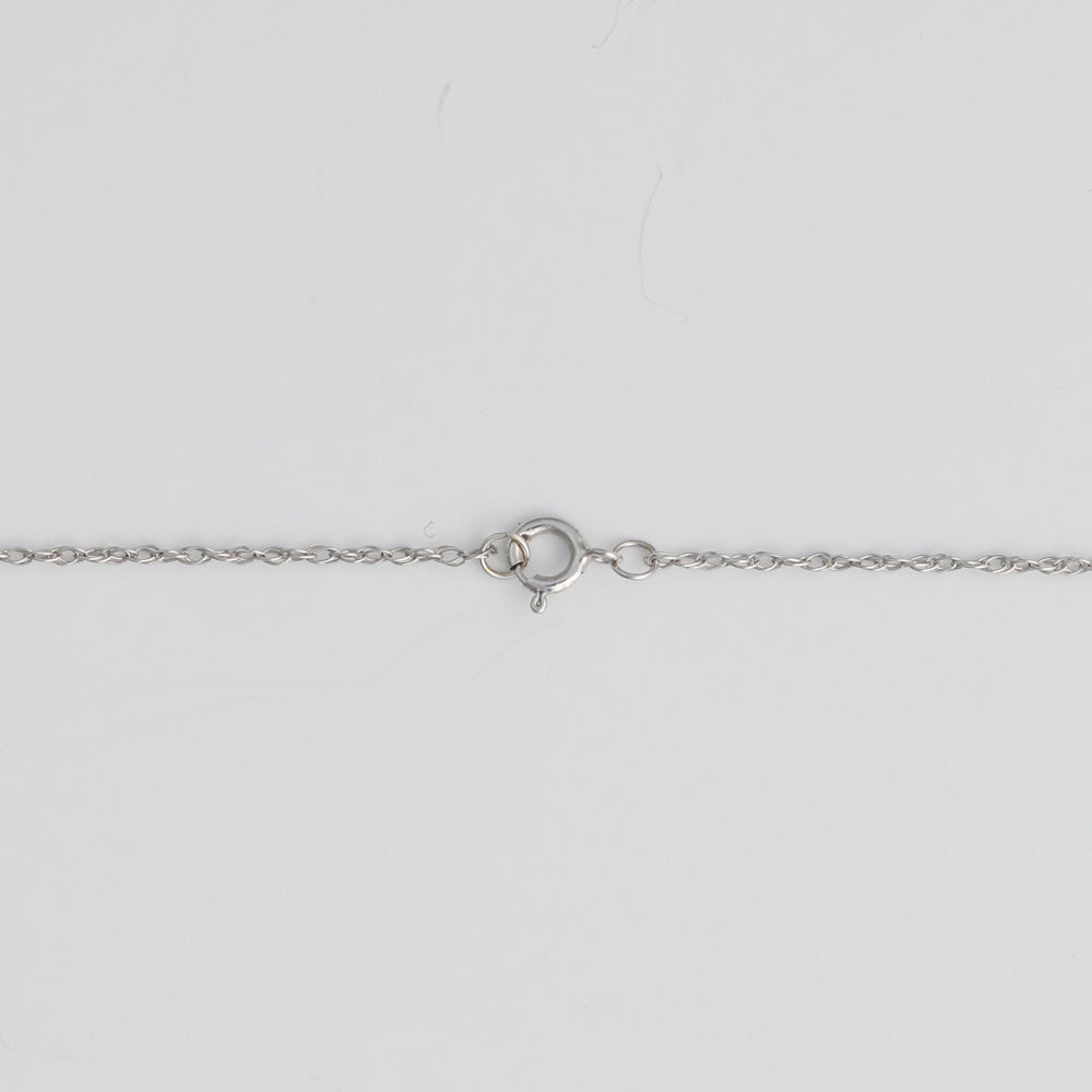 14K white gold chain with clasp.
