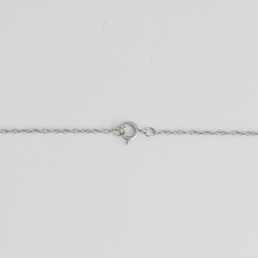 14K white gold chain with clasp.
