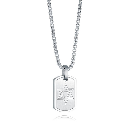 Star of David Necklace (No Stones) in Stainless Steel White