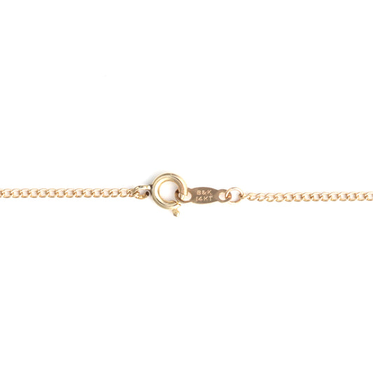 14K yellow gold chain with spring ring clasp.