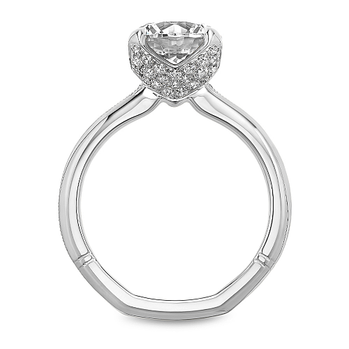 14K white gold ring, diamond accents.