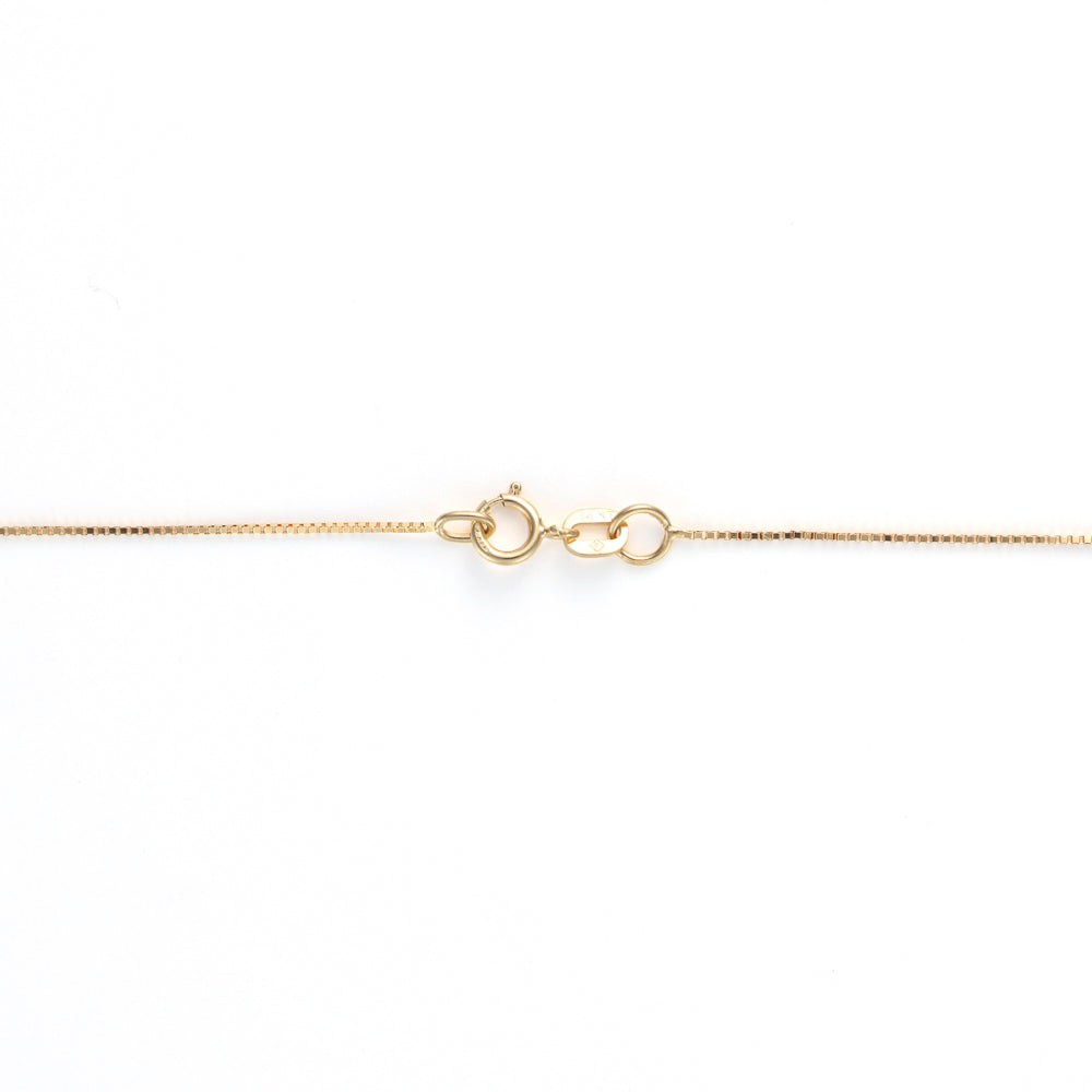 Yellow gold box chain with spring ring clasp.