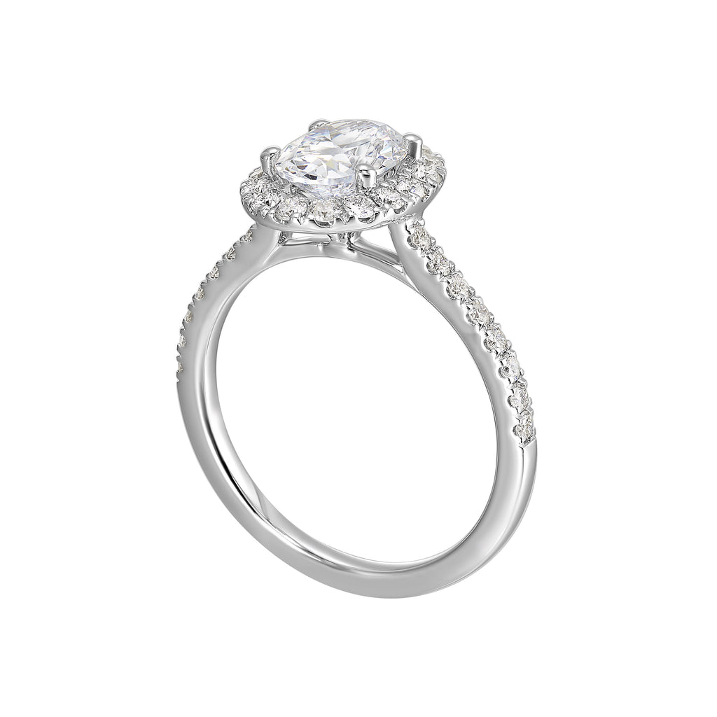 Halo diamond ring in white gold.
