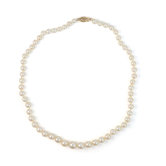 Pearl Strand Color Gemstone Necklace in 14 Karat Yellow with 62 Akoya Cream Pearls