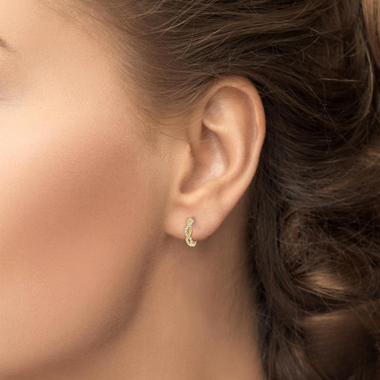 Updated product image (cleaned)